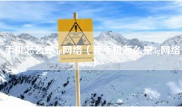手机怎么是3g网络（我手机怎么是3g网络）