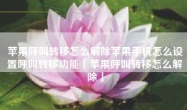 苹果呼叫转移怎么解除苹果手机怎么设置呼叫转移功能「苹果呼叫转移怎么解除」