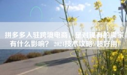 拼多多入驻跨境电商，是对现有的卖家有什么影响？ 2024技术攻略!(超好用)