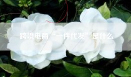 跨境电商“一件代发”是什么