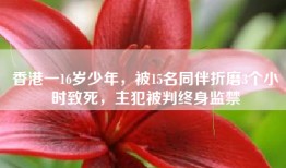 香港一16岁少年，被15名同伴折磨3个小时致死，主犯被判终身监禁