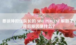 蔡徐坤担任队长的 NINE PERCENT 解散了，背后原因是什么？