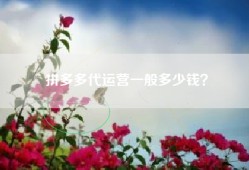 拼多多代运营一般多少钱？