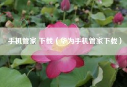 手机管家 下载（华为手机管家下载）
