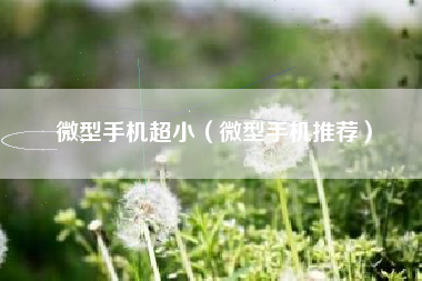 微型手机超小（微型手机推荐）