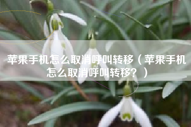 苹果手机怎么取消呼叫转移（苹果手机怎么取消呼叫转移？）
