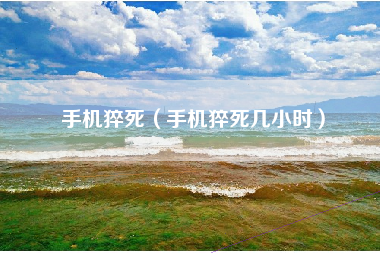 手机猝死（手机猝死几小时）