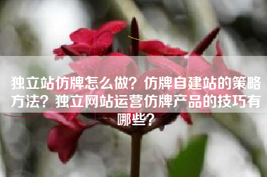 独立站仿牌怎么做？仿牌自建站的策略方法？独立网站运营仿牌产品的技巧有哪些？